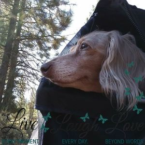 Meet your Posher, Donna